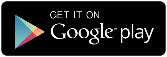 download on the google play store